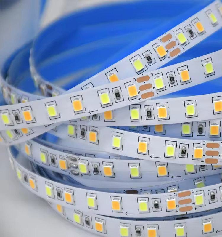 فروش کارخانه دو رنگ CCT LED strip light 24v دمای رنگ تنظیم پذیر 120led 12v light 2835 led strip Decoration