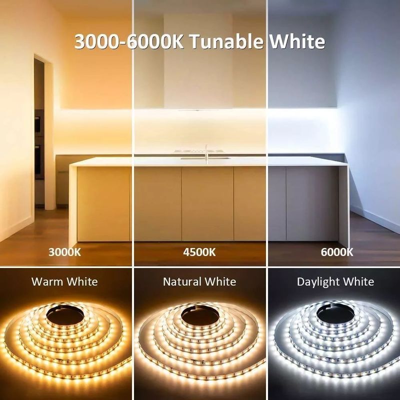 IP20 درجه بندی تزئین چشم انداز نورپردازی 5m 10m 12v 24v 220v Rgbw Cob Light Strip